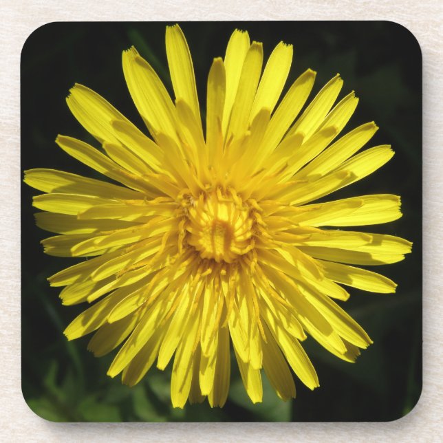 Porta copos Dandelion Cork (Frente)