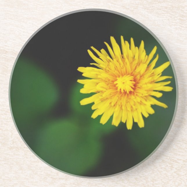 Porta copos Dandelion Sandstone (Frente)