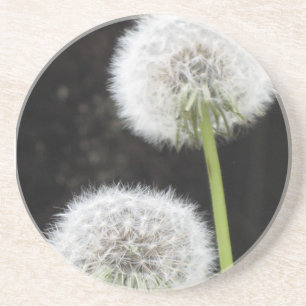 Porta copos - Dandelions