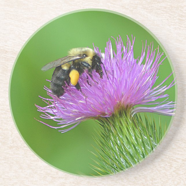 Porta copos de Abelhas e Abelhas (Frente)