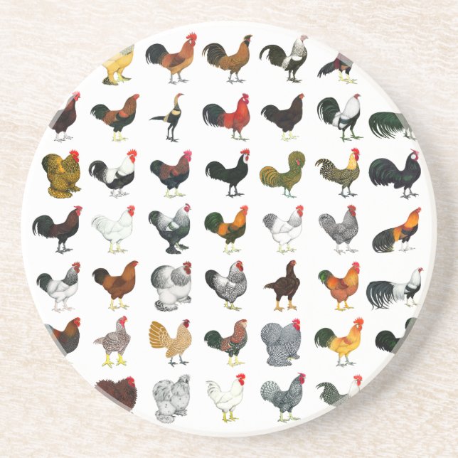 Porta-copos De Arenito 49 Roosters (Frente)