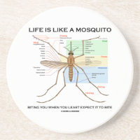 A vida for como um mosquito que morde o quando