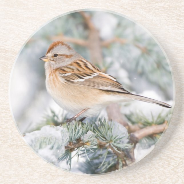 Porta-copos De Arenito American Tree Sparrow no inverno (Frente)