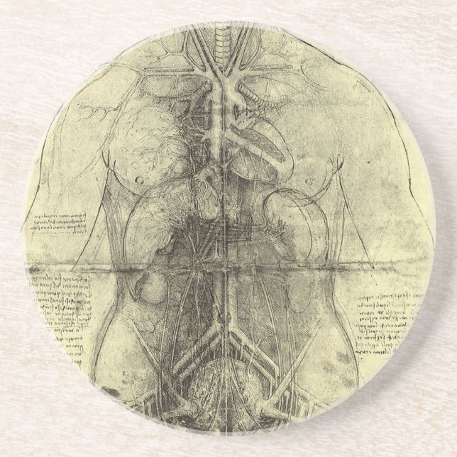 Porta-copos De Arenito Anatomia humana de Leonardo da Vinci, mulher Torso (Frente)