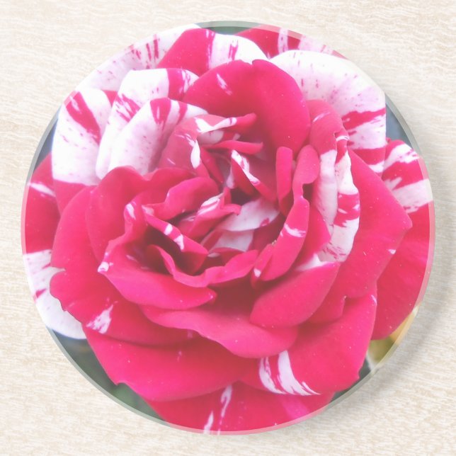 Porta-copos De Arenito Anicia (Frente)