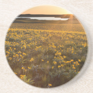 Porta-copos De Arenito Arranjo de Flores Silvestres de Balsamroot de Folh