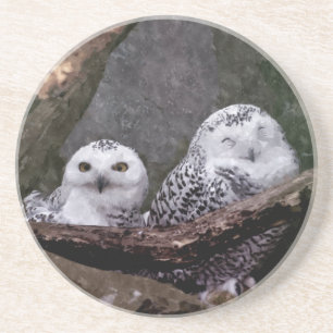 Porta-copos De Arenito Arte de vida selvagem da floresta com casal de cor