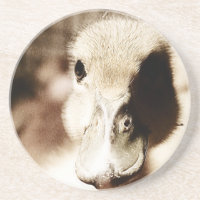 Arte Digital Ducking