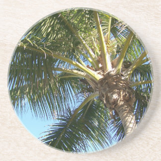 Porta-copos De Arenito Árvore Palm de Coco