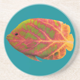 Porta-copos De Arenito Aspen Peixe Tropical 1