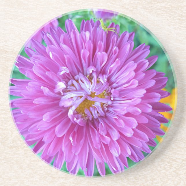 Porta-copos De Arenito Aster com aranha caranguejo (Frente)