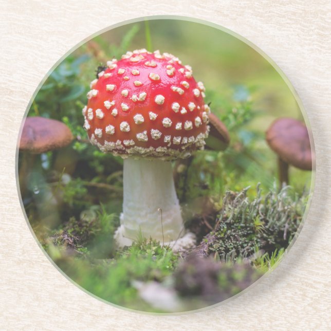 Porta-copos De Arenito Autumn Beauty (Frente)