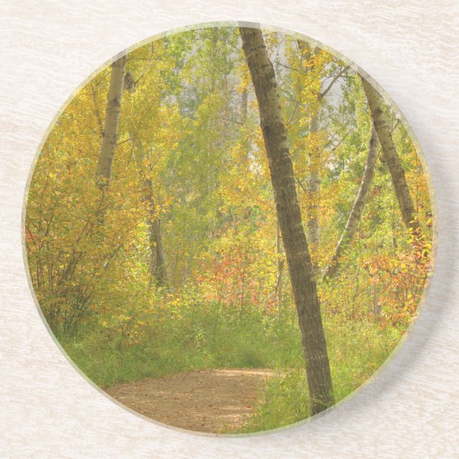 Porta-copos De Arenito Autumn Woodlands (Frente)