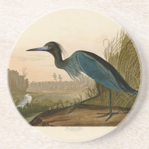 Porta-copos De Arenito Aves da América de Crane Azul de Audubon