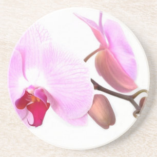 Porta-copos De Arenito Aziza Orchid Blossoms