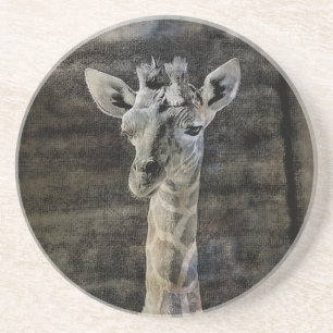 Porta-copos De Arenito Baby Giraffe