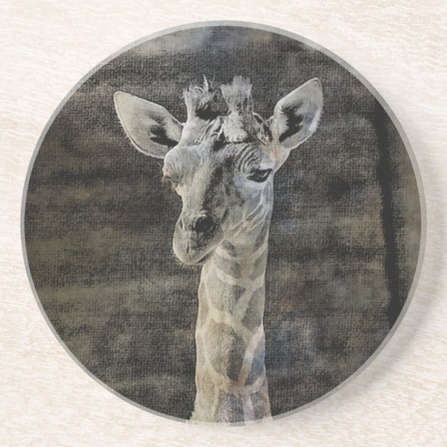 Porta-copos De Arenito Baby Giraffe (Frente)