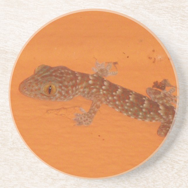 Porta-copos De Arenito Baby Tokay Gecko (Frente)