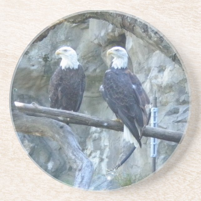 Porta-copos De Arenito Bald Eagles (Frente)