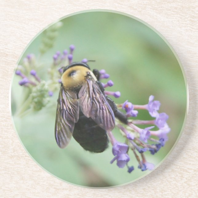 Porta-copos De Arenito Bee-autiful Bee Coaster (Frente)