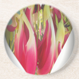 Porta-copos De Arenito Belo legal Incrível Coração de Hakuna Matata.png