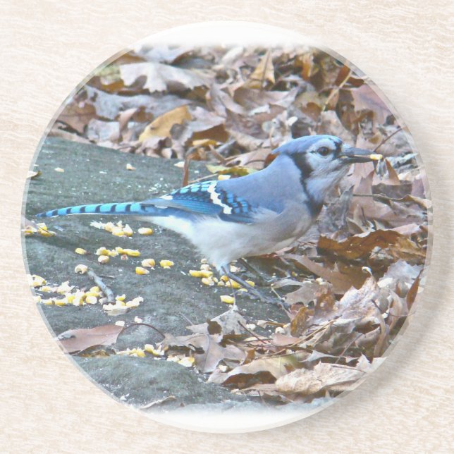 Porta-copos De Arenito Blue Jay Songbird (Frente)