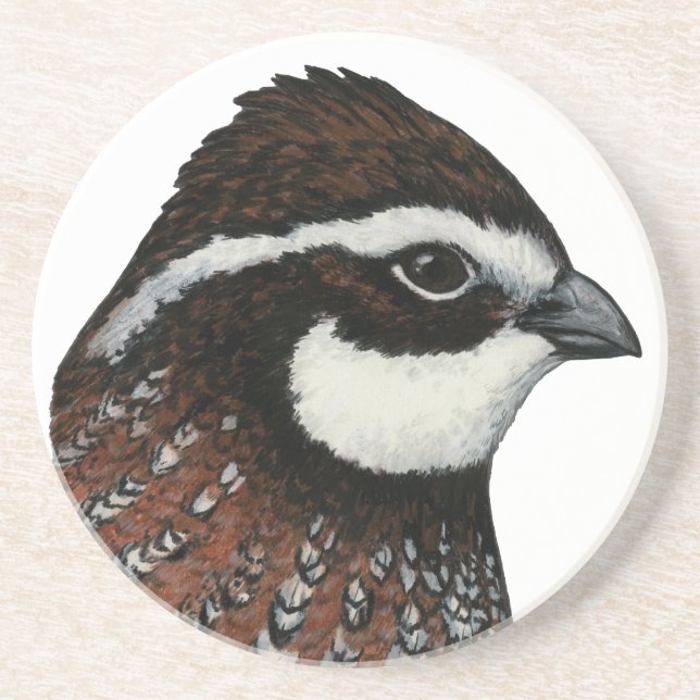 Porta-copos De Arenito Bobwhite Quail Head (Frente)