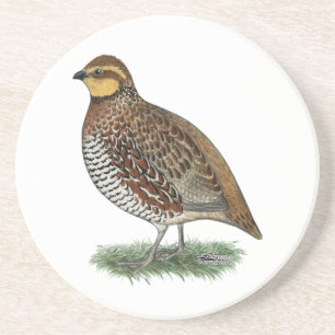 Porta-copos De Arenito Bobwhite Quail Hen