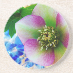 Porta-copos De Arenito Bola de vidro azul cor-de-rosa de rosa quaresmal