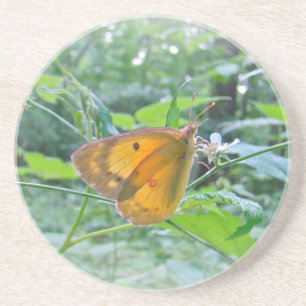 Porta-copos De Arenito Borboleta Sulpher