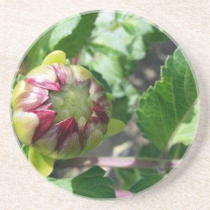 Porta-copos De Arenito botão outono