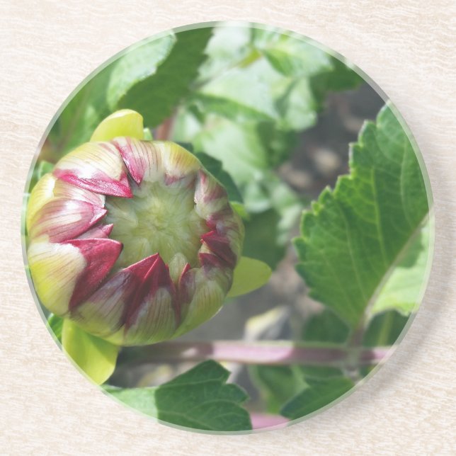 Porta-copos De Arenito botão outono (Frente)