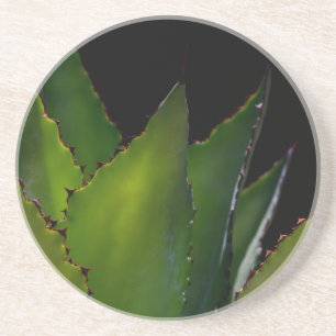 Porta-copos De Arenito Brilho de Agave