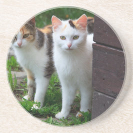 Porta-copos De Arenito Brincadeira