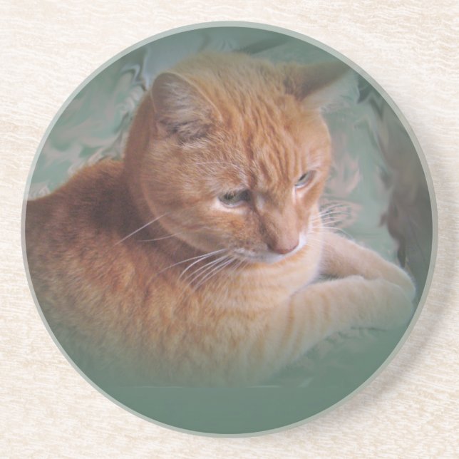 Porta-copos De Arenito Bubba, o Tomcat Laranja Tabby (Frente)