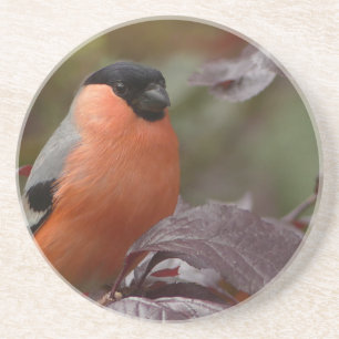 Porta-copos De Arenito Bull Finch