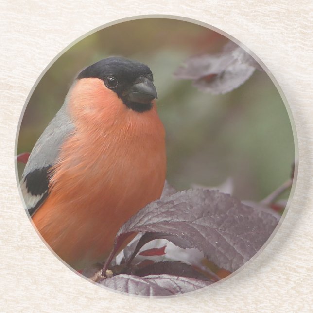 Porta-copos De Arenito Bull Finch (Frente)