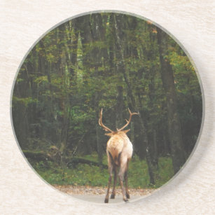 Porta-copos De Arenito Bull Male Elk no outono