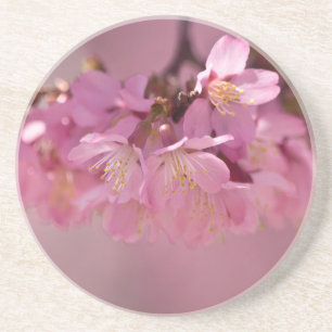 Porta-copos De Arenito Buquê Rosa Delicado de Cerejeira Sakura