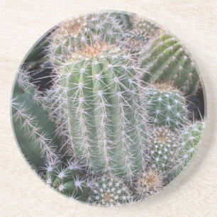 Porta-copos De Arenito Cactus