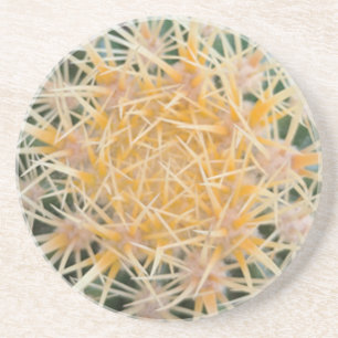 Porta-copos De Arenito Cactus