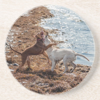Porta-copos De Arenito Cães na praia