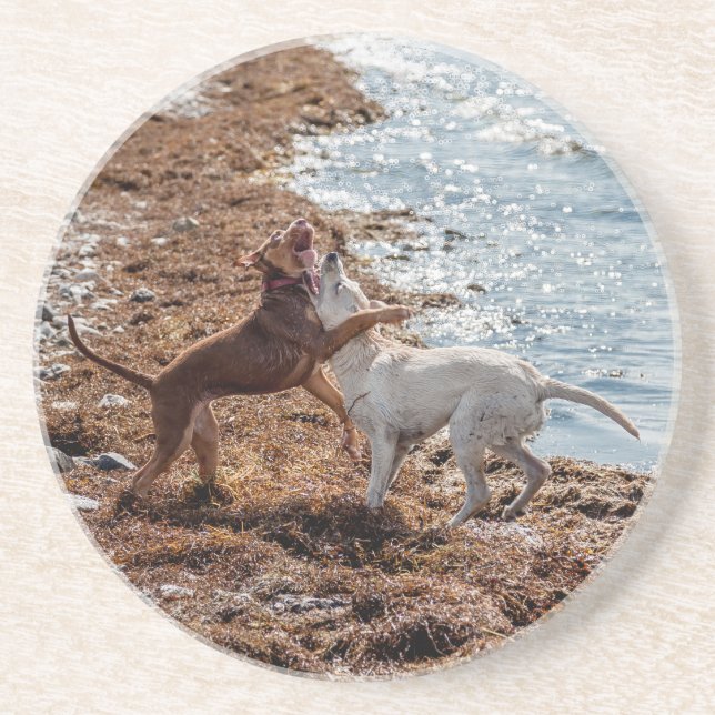 Porta-copos De Arenito Cães na praia (Frente)