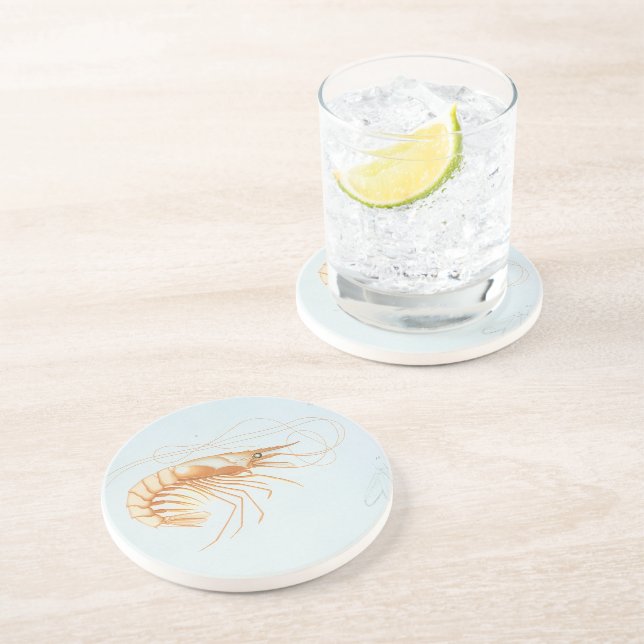 Porta-copos De Arenito Camarão, Vida Marinha Antiga Animais Marinhos do O (Lateral)