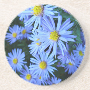 Porta-copos De Arenito Campo de Flores Azuis