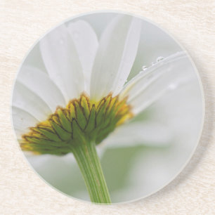 Porta-copos De Arenito Canadá, New Brunswick,