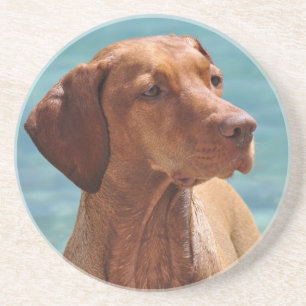 Porta-copos De Arenito Cão de Vizsla do Magiar