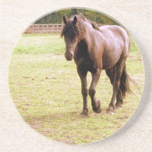 Porta-copos De Arenito Cavalo Marrom Relaxado Andando