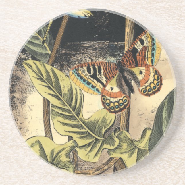 Porta-copos De Arenito Cena da Natureza Escura pelo Vision Studio (Frente)