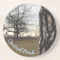 Central Park Reserva Nova Iorque Sunrise NYC